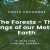 Les forêts - Les poumons de notre Terre Mère